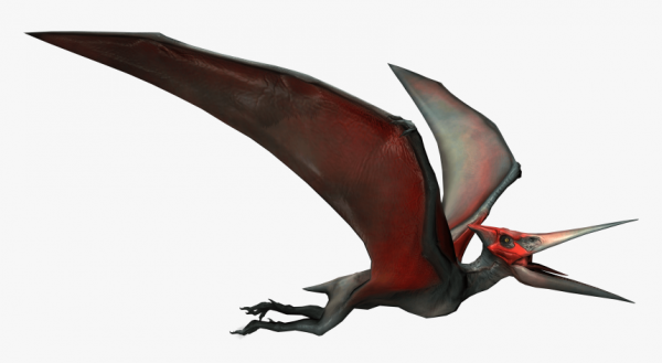 Greyhawk_Pteranodonte-600x329 Aurora dos Conflitos Greyhawk Pathfinder 2ª Edição 