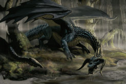 Dragão Negro